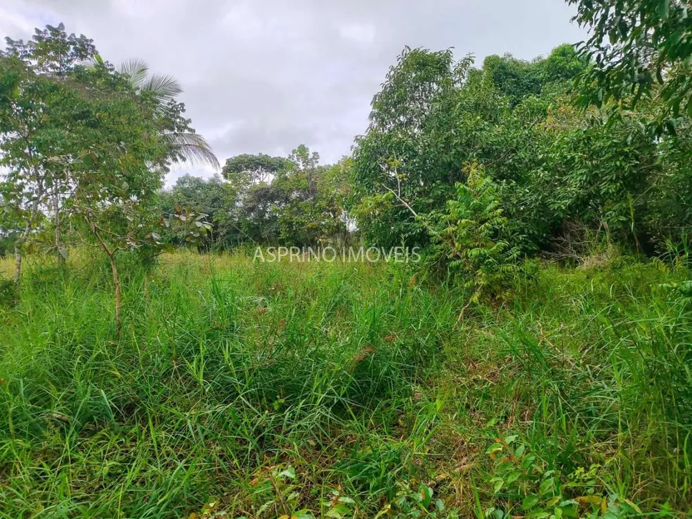 Terreno, 21 hectares - Foto 8