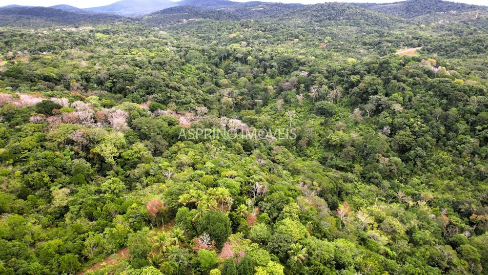 Terreno, 21 hectares - Foto 6