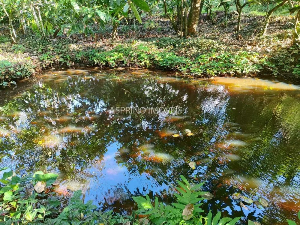 Fazenda, 37 hectares - Foto 12