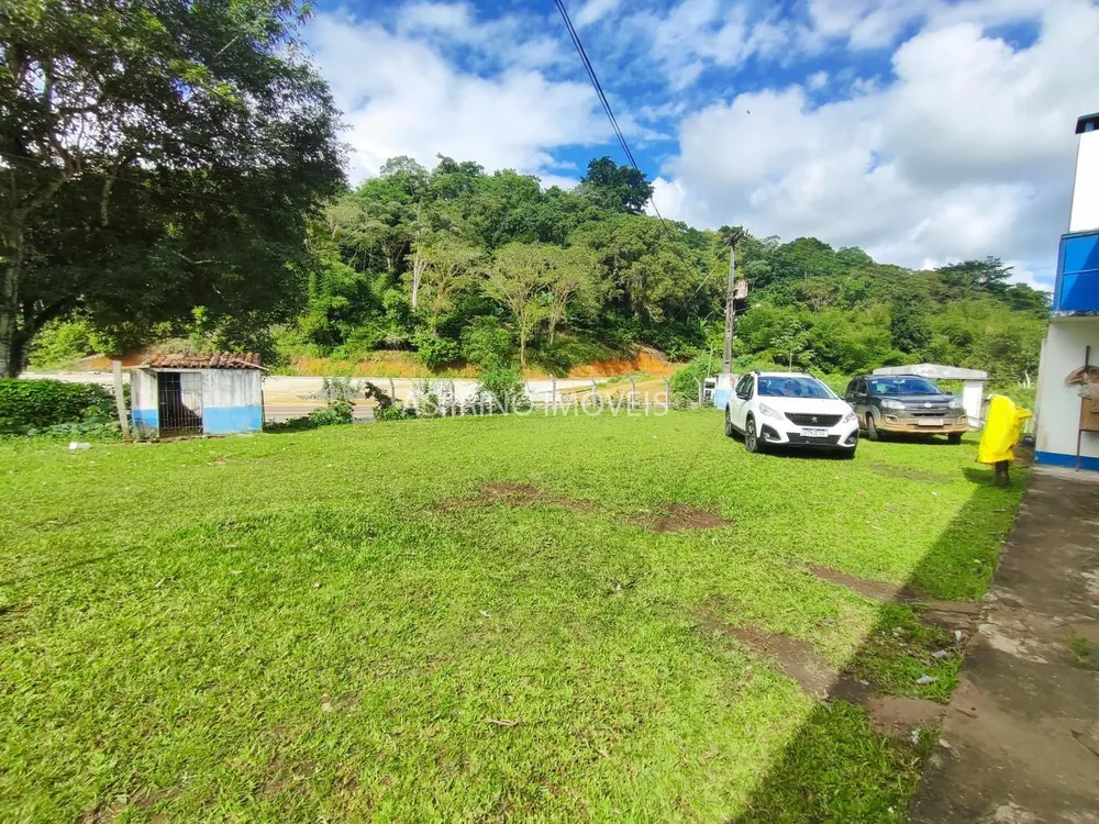 Fazenda, 37 hectares - Foto 6