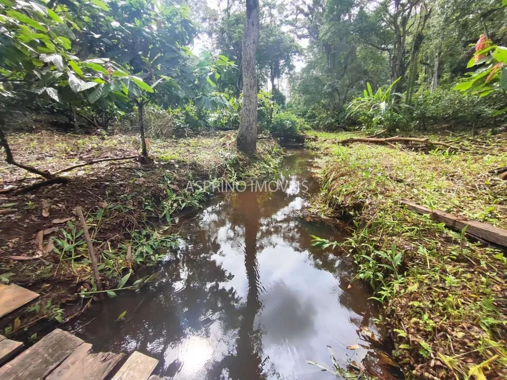 Fazenda, 37 hectares - Foto 11