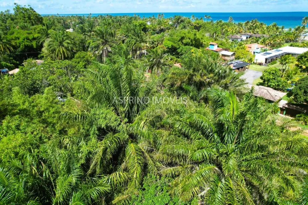 Terreno, 800 m² - Foto 1