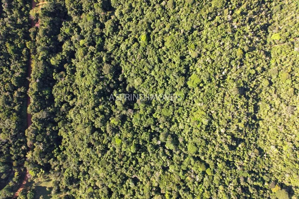 Terreno, 6 hectares - Foto 12