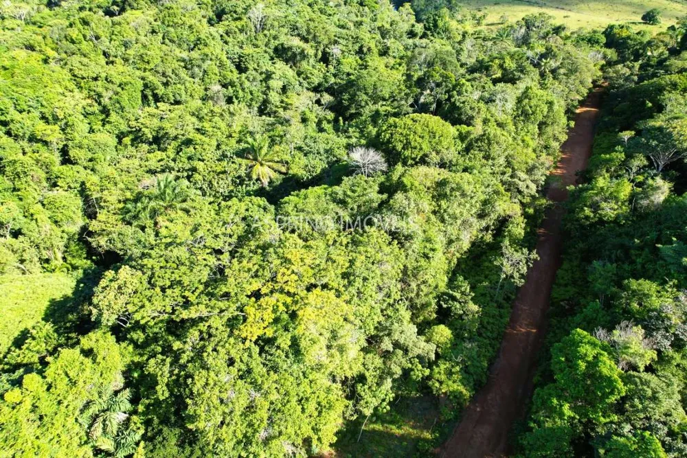 Terreno, 6 hectares - Foto 4