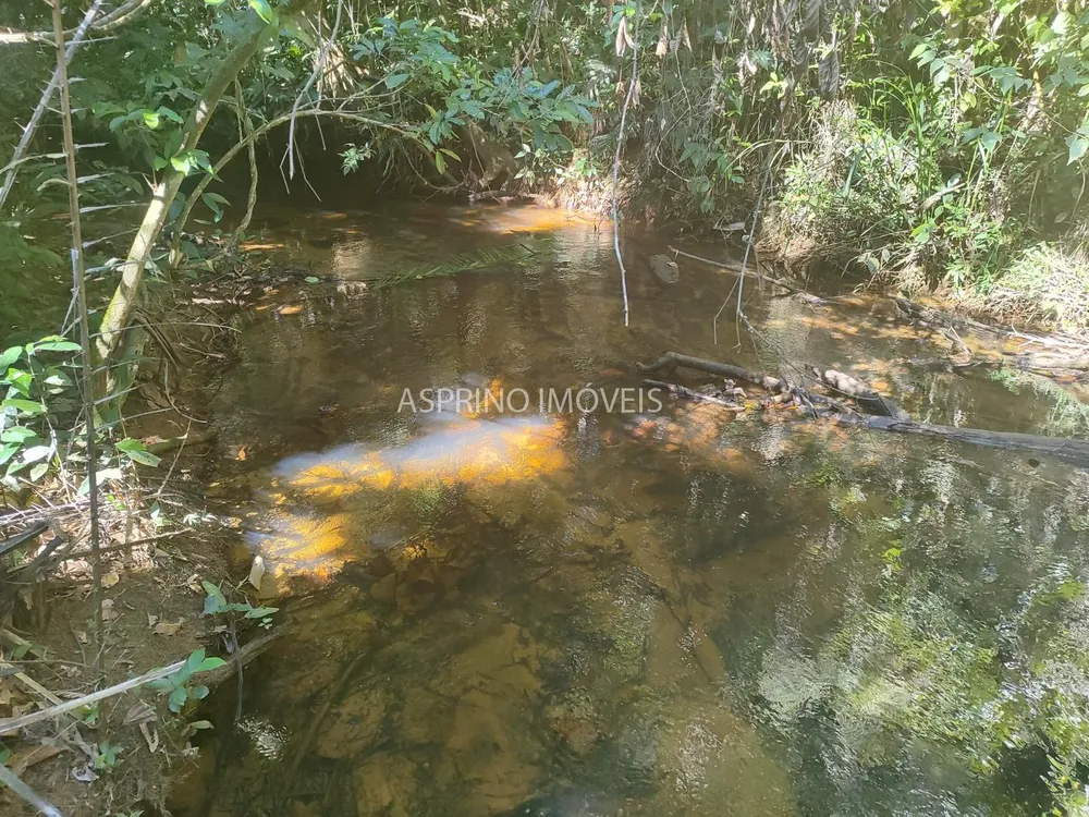 Terreno, 6 hectares - Foto 7