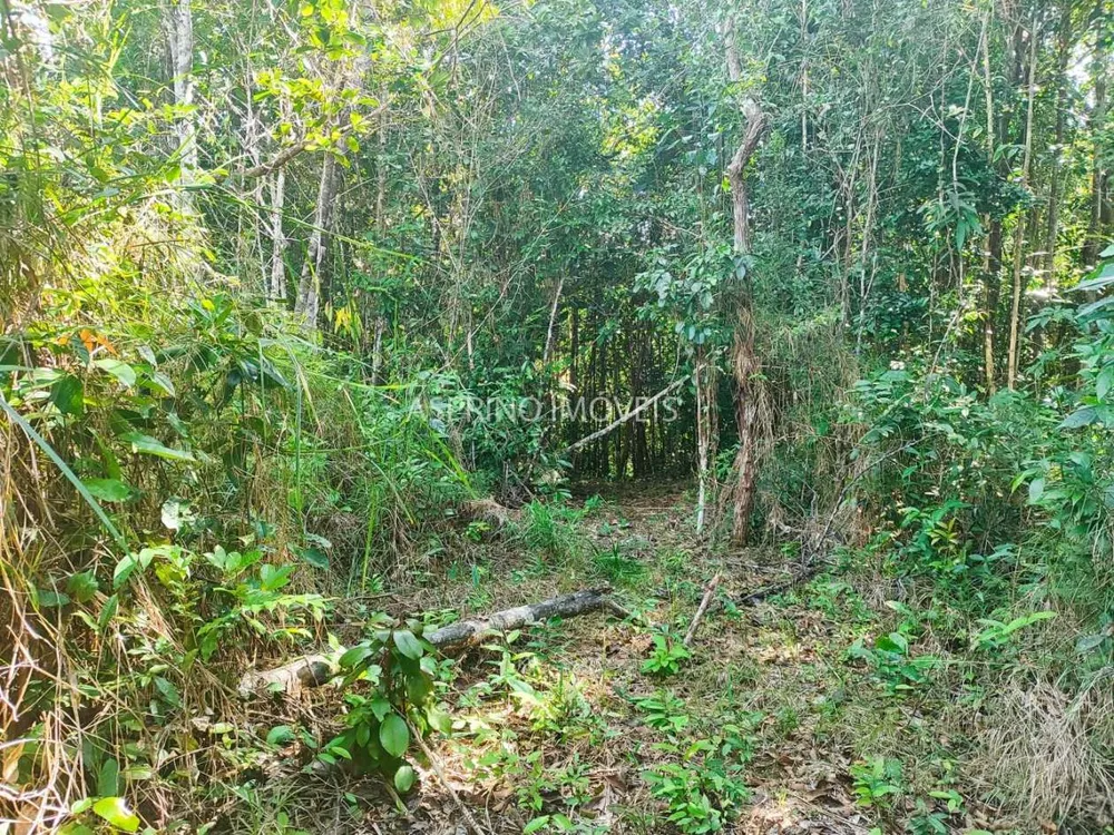 Terreno, 6 hectares - Foto 10