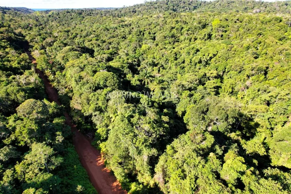 Terreno, 6 hectares - Foto 1
