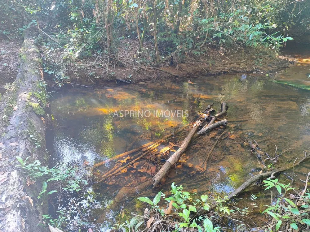 Terreno, 6 hectares - Foto 8