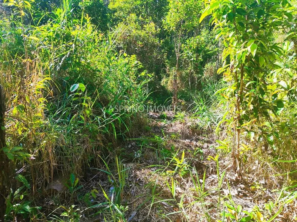 Terreno, 6 hectares - Foto 11