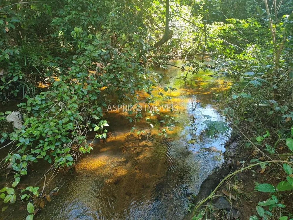 Terreno, 6 hectares - Foto 6