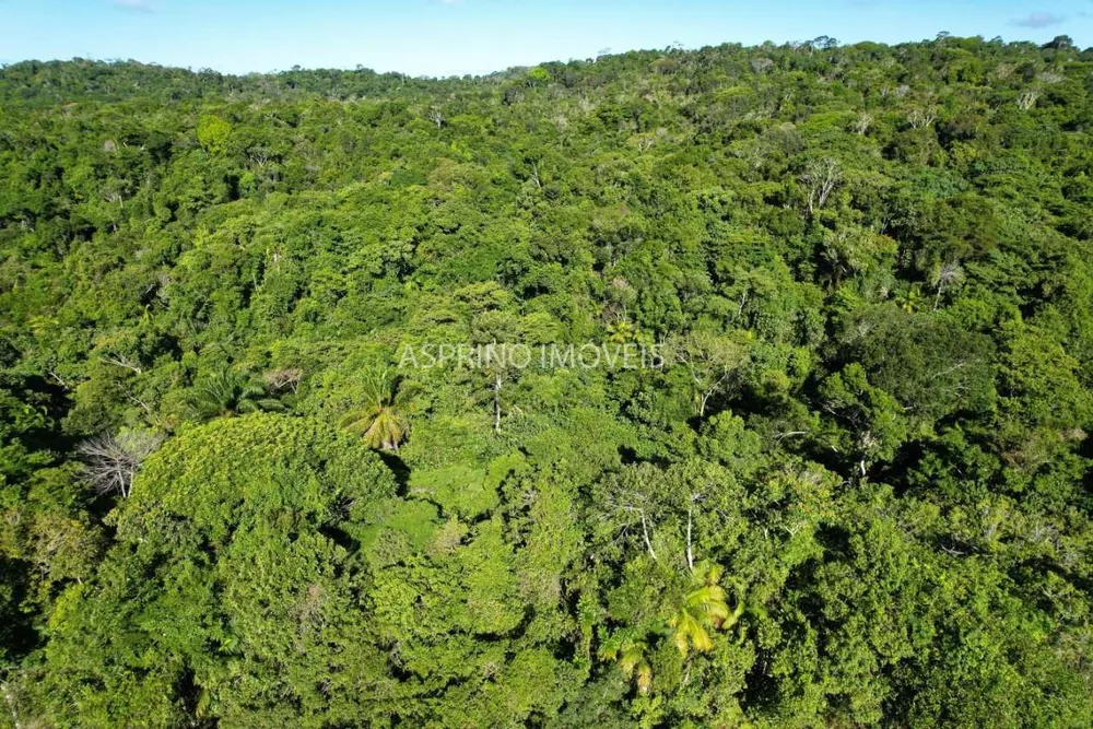 Terreno, 6 hectares - Foto 3
