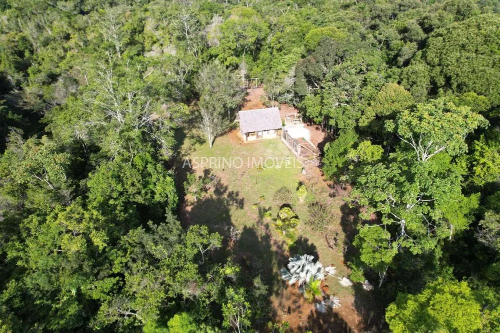 Sítio, 25 hectares - Foto 3