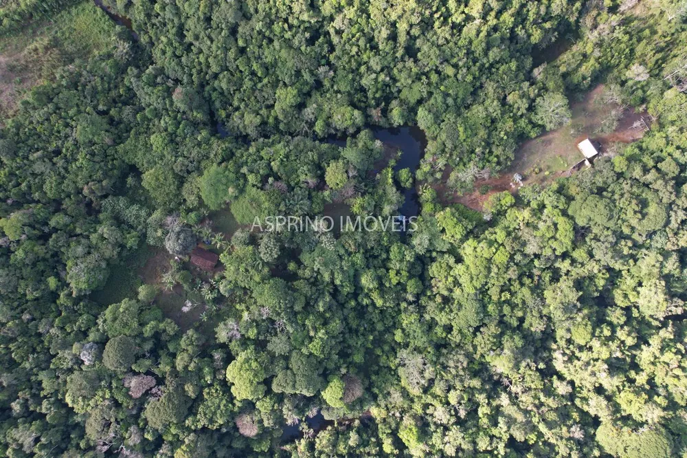 Sítio, 25 hectares - Foto 11