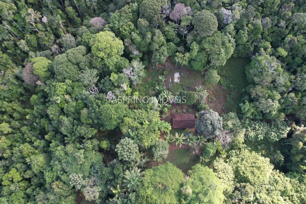 Sítio, 25 hectares - Foto 12