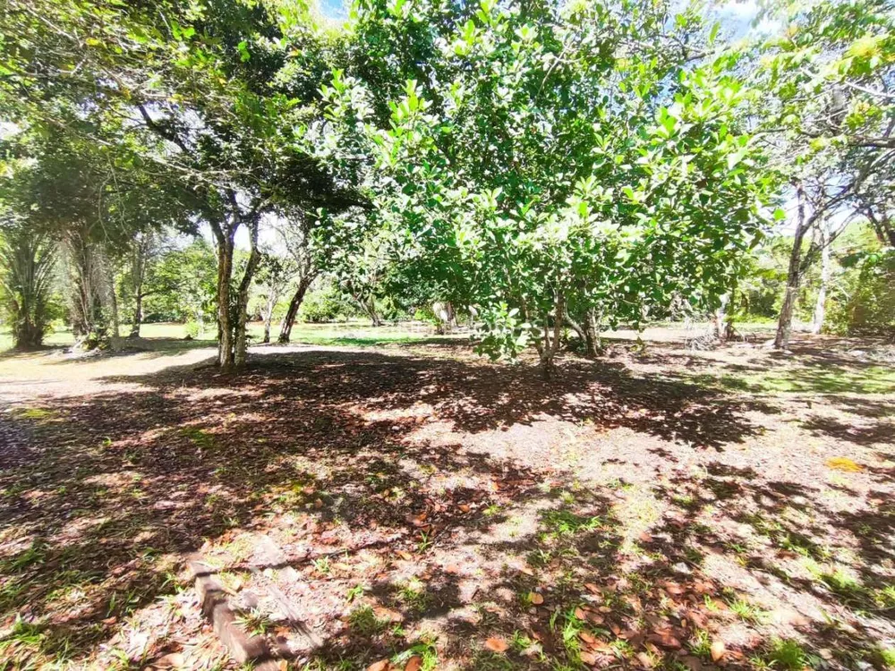 Terreno, 4 hectares - Foto 11
