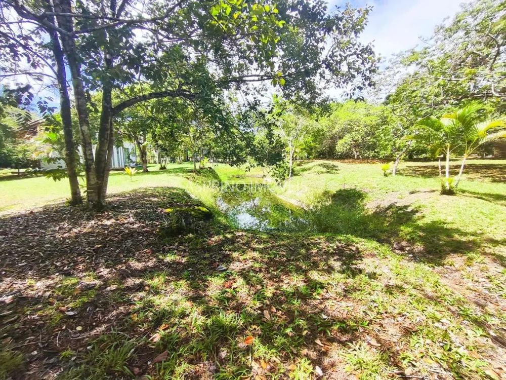 Terreno, 4 hectares - Foto 6