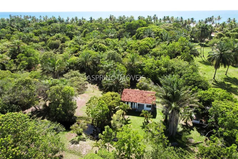 Terreno, 4 hectares - Foto 7