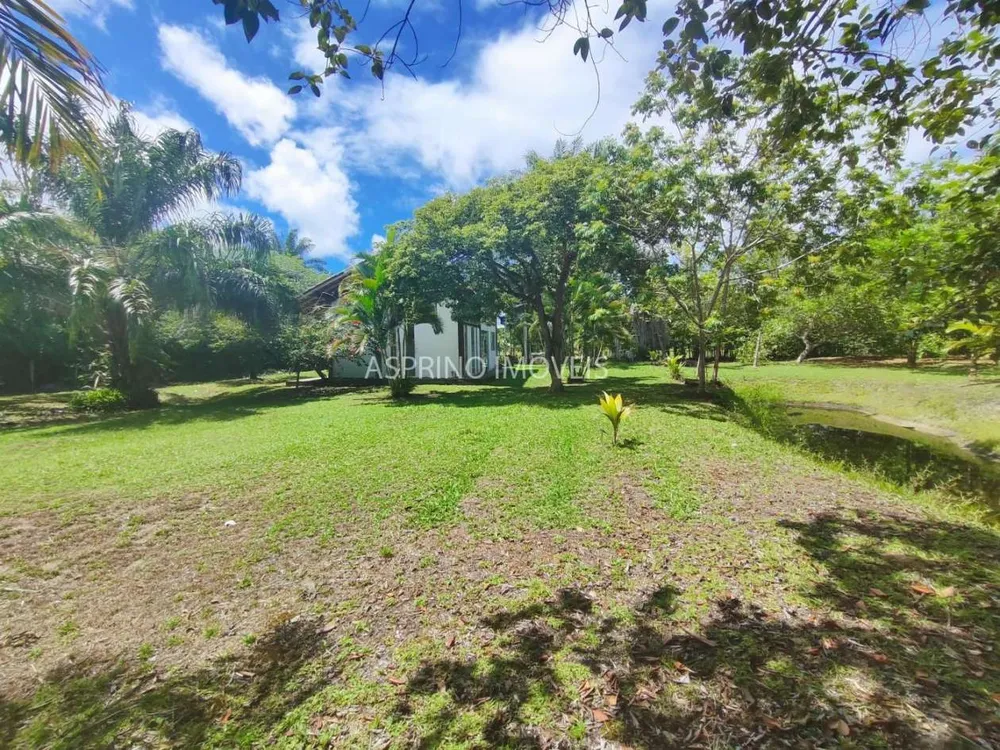 Terreno, 4 hectares - Foto 8