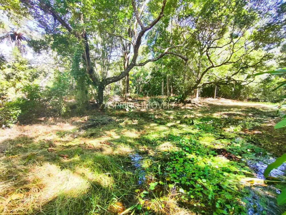 Terreno, 4 hectares - Foto 6
