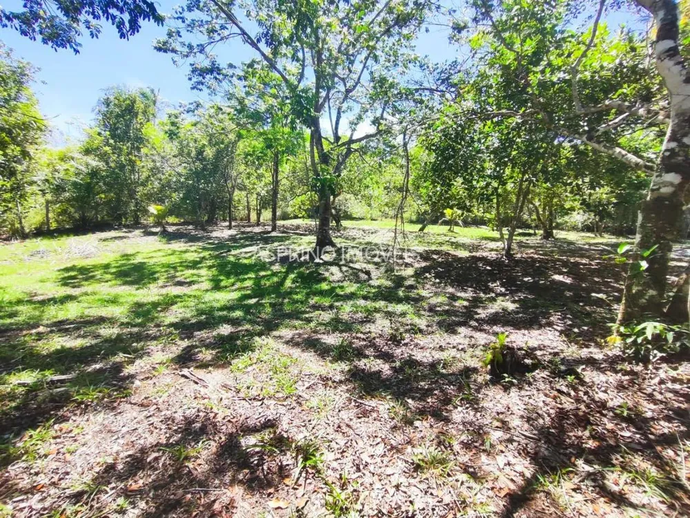Terreno, 4 hectares - Foto 3