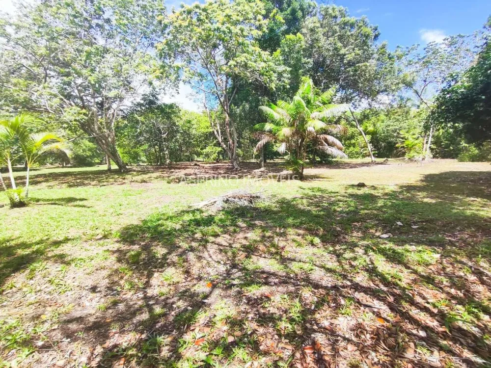 Terreno, 4 hectares - Foto 12