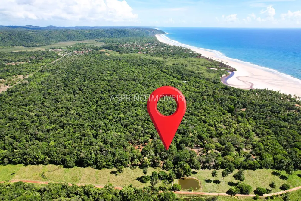 Terreno, 4 hectares - Foto 8