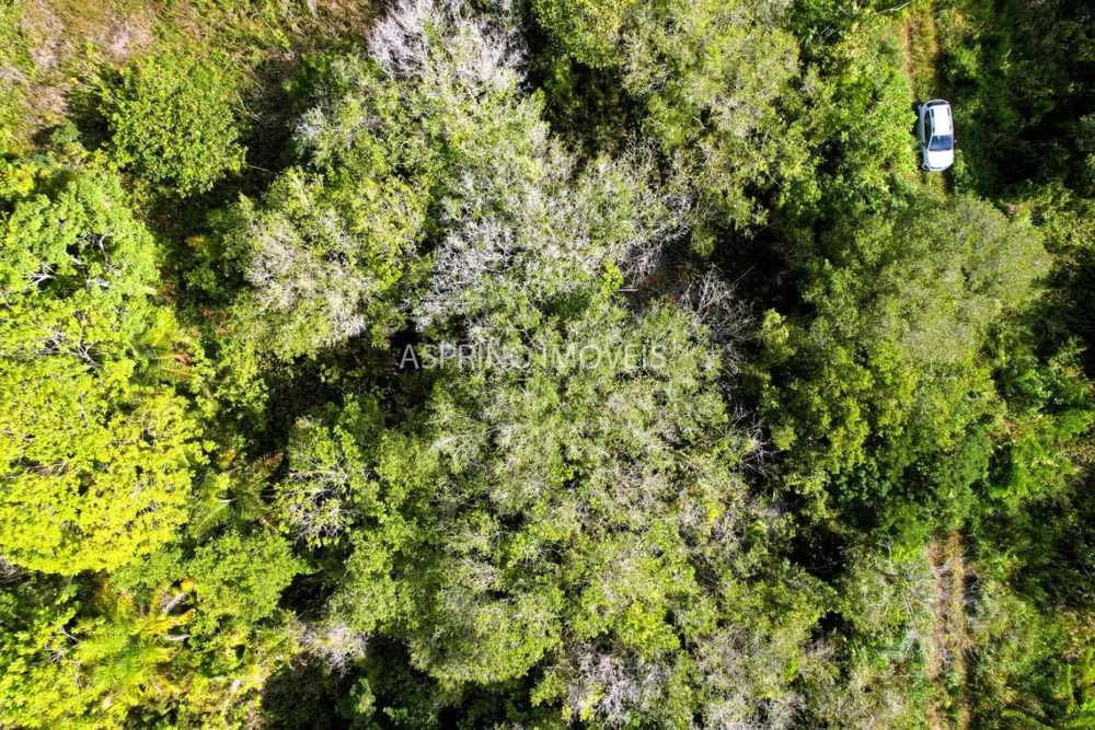 Terreno, 600 m² - Foto 10