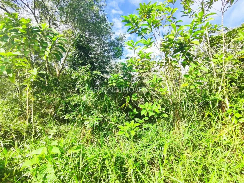 Terreno, 600 m² - Foto 12