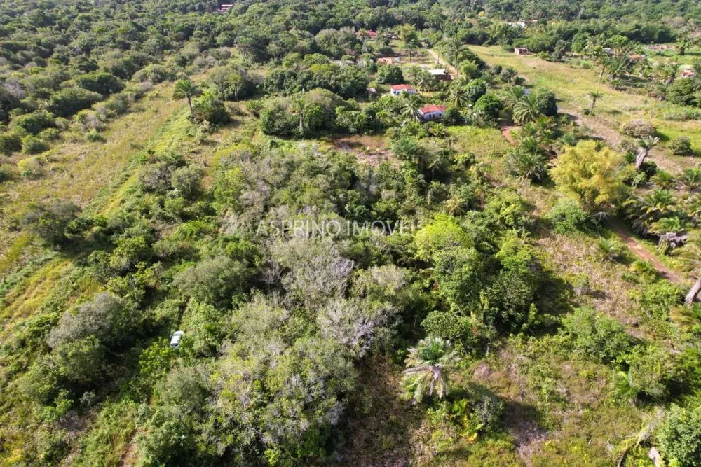 Terreno, 600 m² - Foto 6