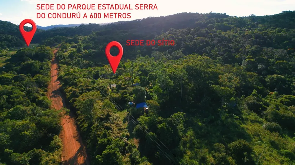 Chácara, 4 hectares - Foto 3