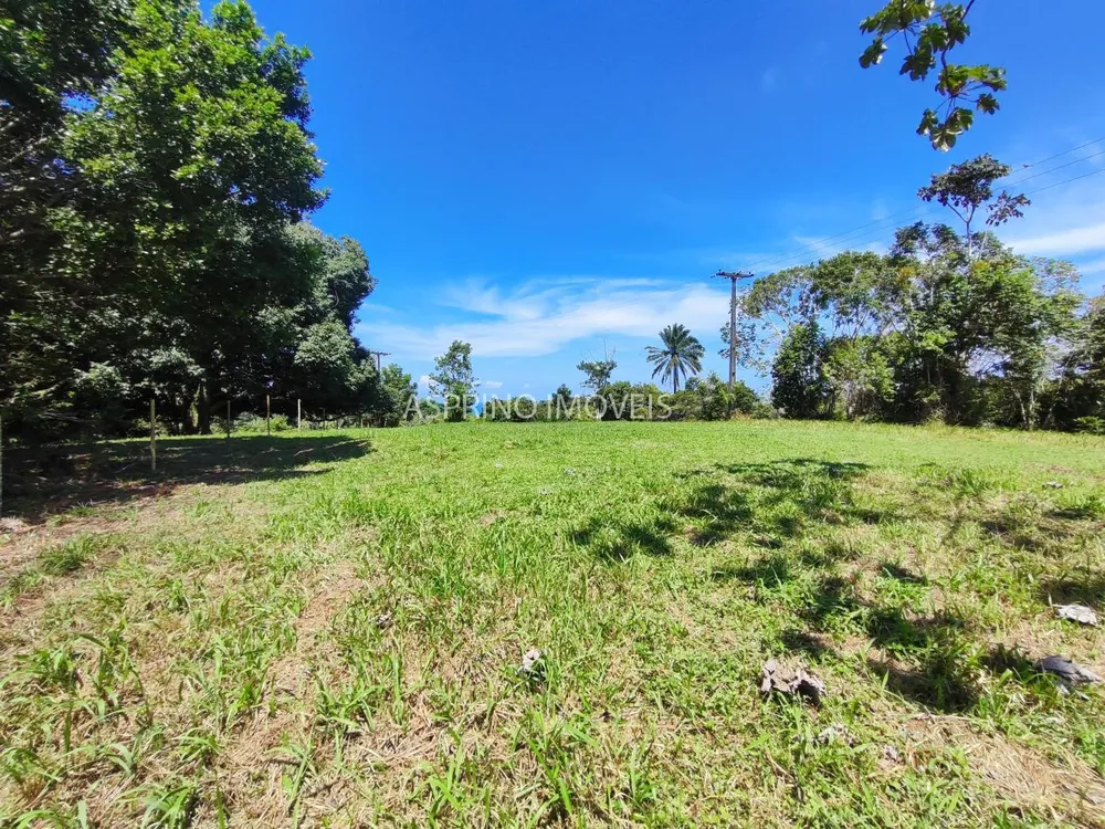Terreno, 2 hectares - Foto 9