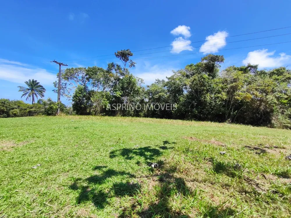 Terreno, 2 hectares - Foto 8