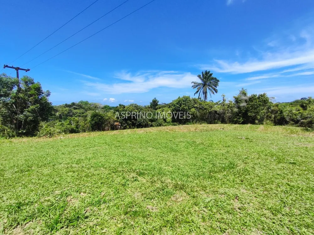 Terreno, 2 hectares - Foto 7