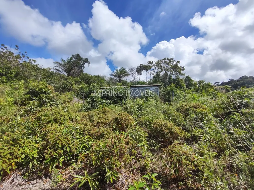 Fazenda, 42 hectares - Foto 10