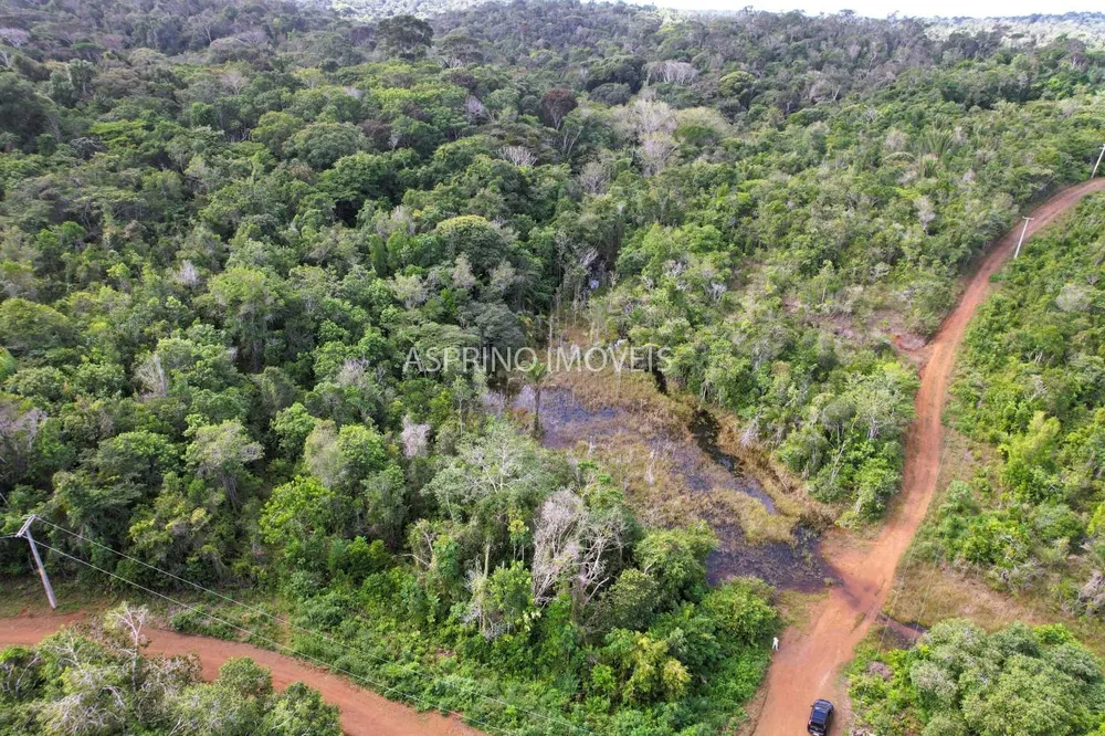 Fazenda, 42 hectares - Foto 6