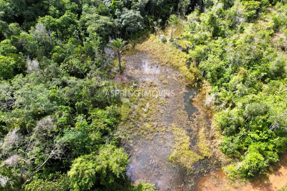 Fazenda, 42 hectares - Foto 4