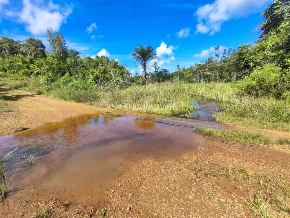 Fazenda, 42 hectares - Foto 9