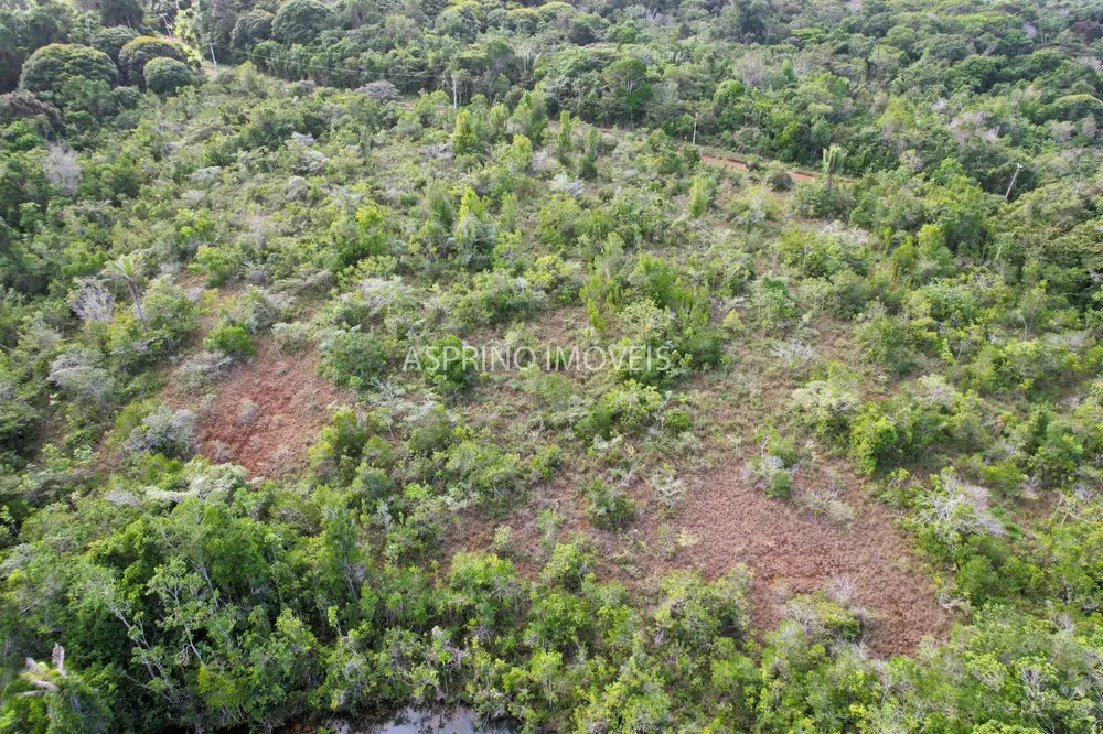 Fazenda, 42 hectares - Foto 8