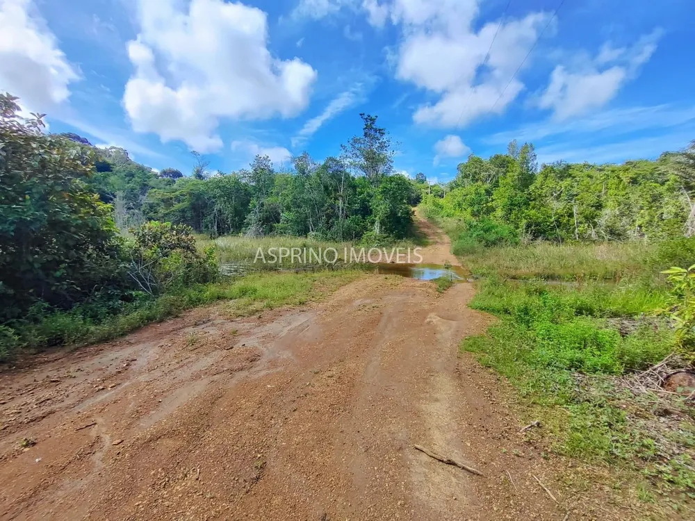 Fazenda, 42 hectares - Foto 11