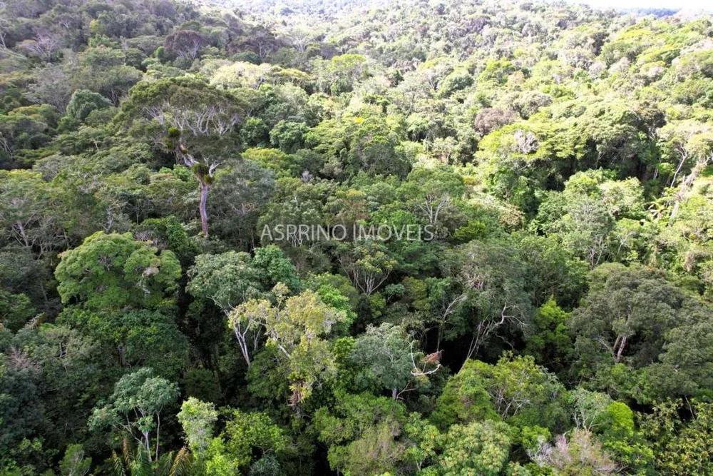 Fazenda, 42 hectares - Foto 7