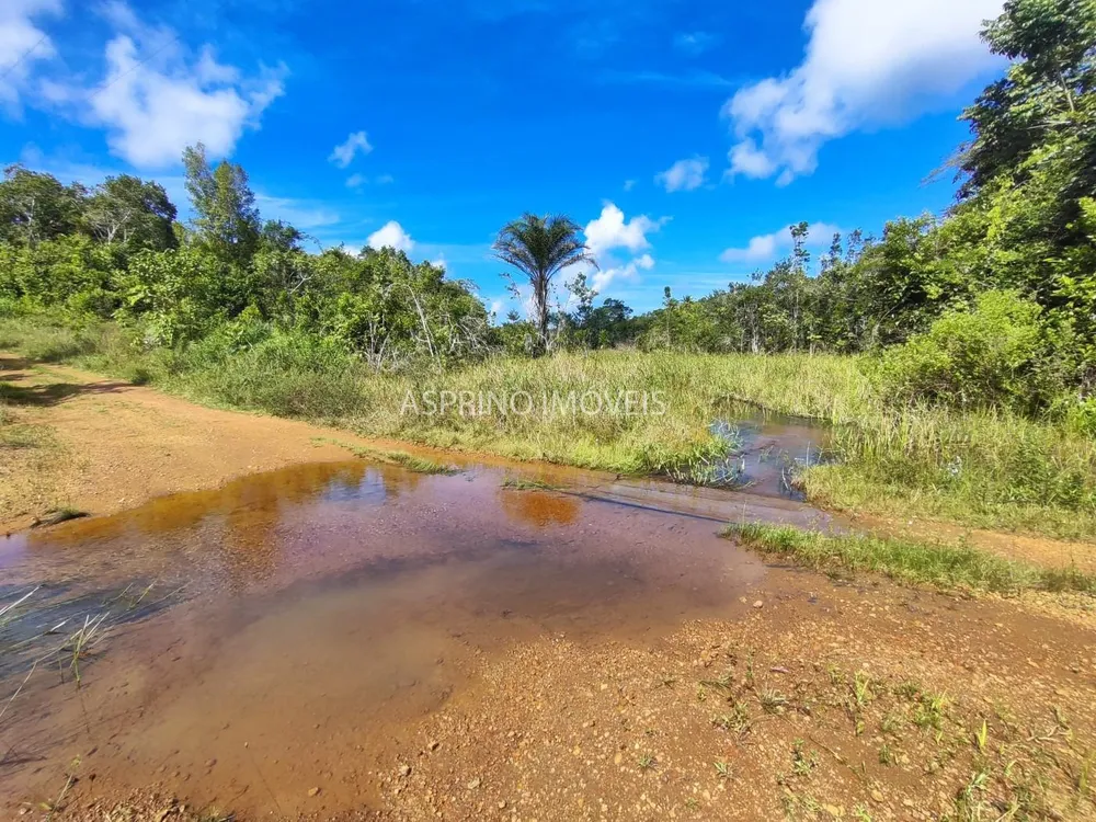 Fazenda, 42 hectares - Foto 12