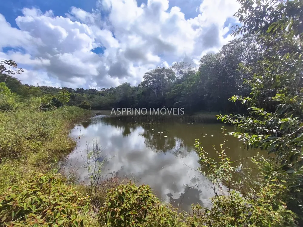 Fazenda, 42 hectares - Foto 2