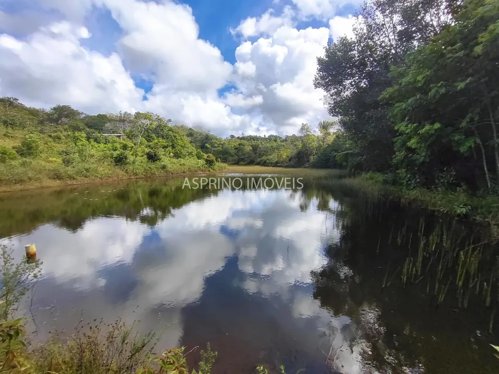 Fazenda, 42 hectares - Foto 3