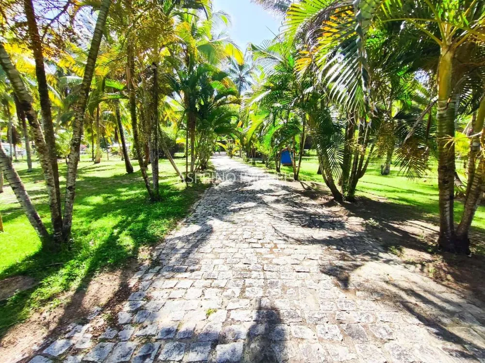 Casa, 3 quartos, 8000 m² - Foto 12