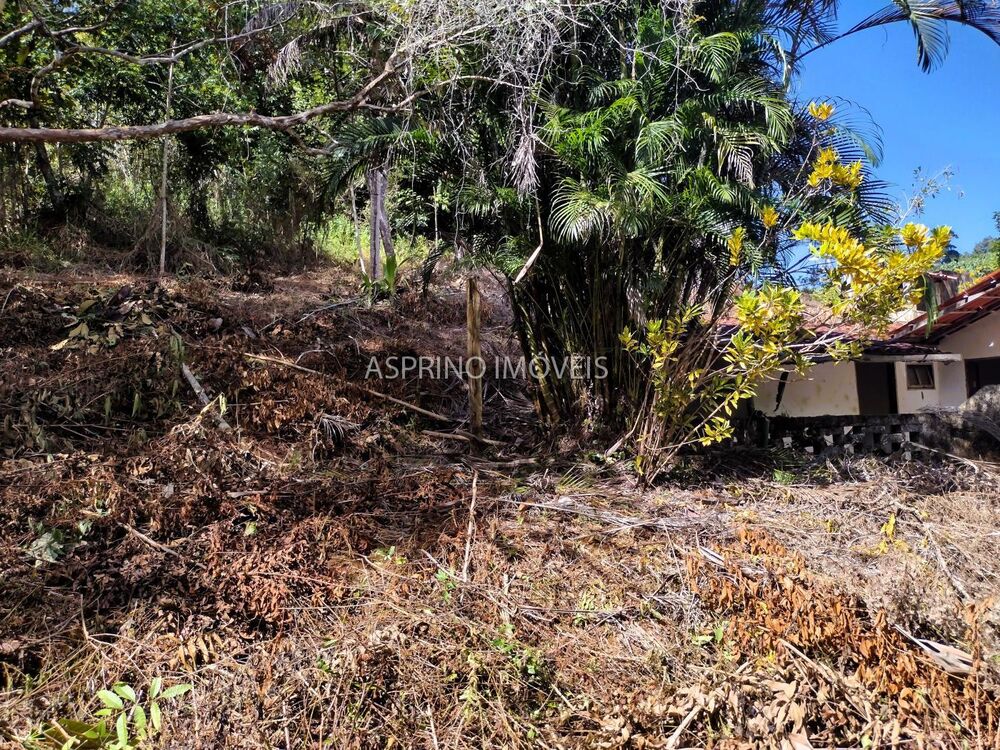 Sítio à venda com 3 quartos, 140000m² - Foto 20