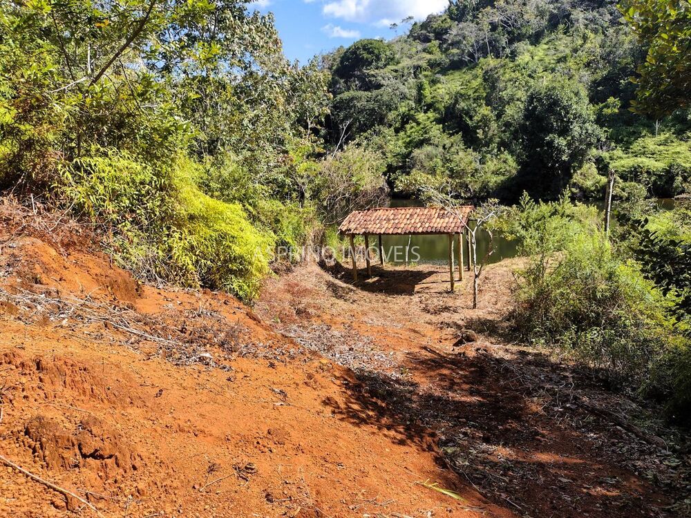 Sítio à venda com 3 quartos, 140000m² - Foto 23