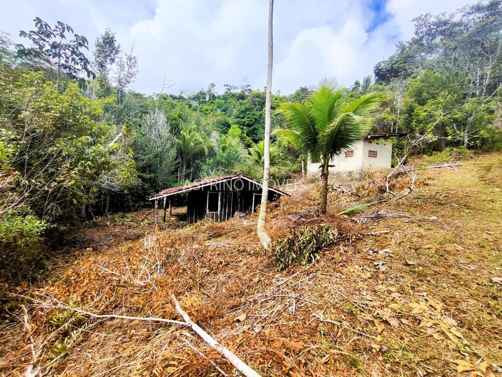 Sítio à venda com 3 quartos, 140000m² - Foto 26
