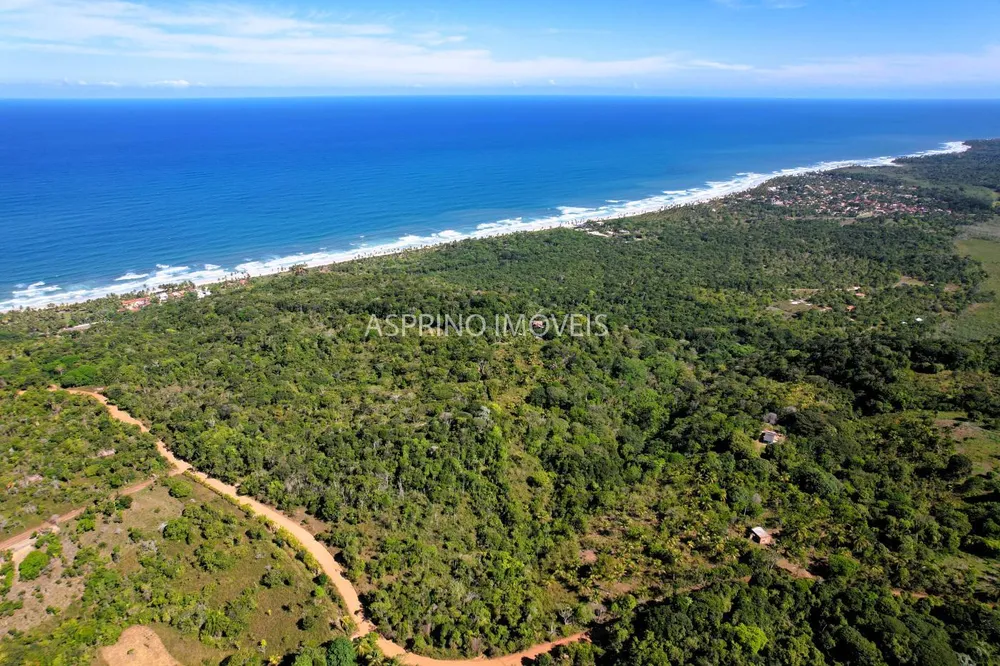 Terreno, 8 hectares - Foto 6