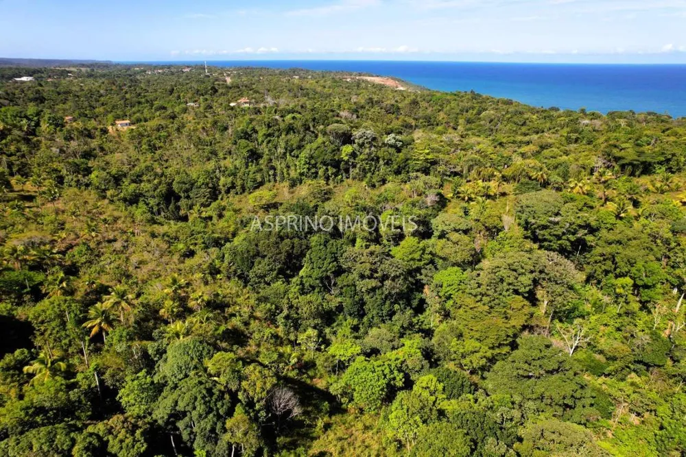 Terreno, 8 hectares - Foto 4