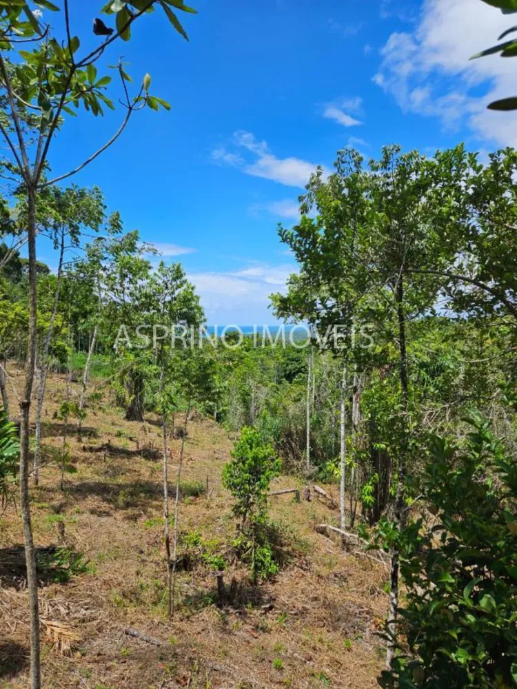 Terreno, 8 hectares - Foto 11
